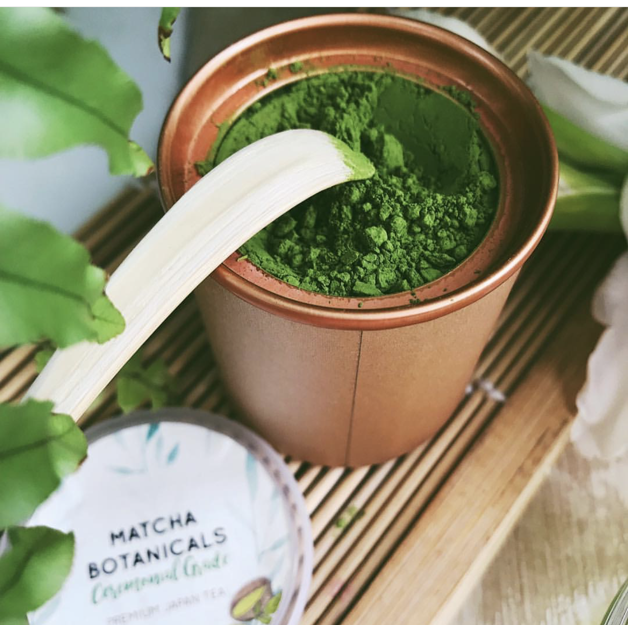 Bamboo Matcha Spoon (Chashaku)